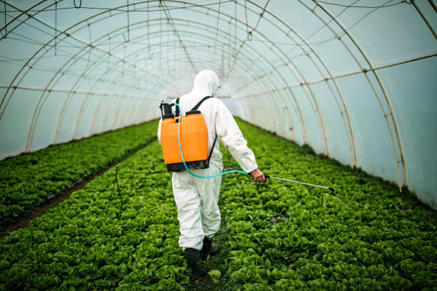 Pest Prevention Services in Lakeview Estates, GA