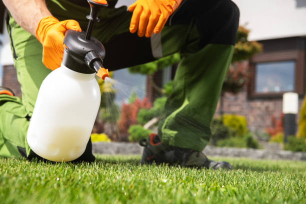 Best Commercial Pest Control Services  in Lakeview Estates, GA