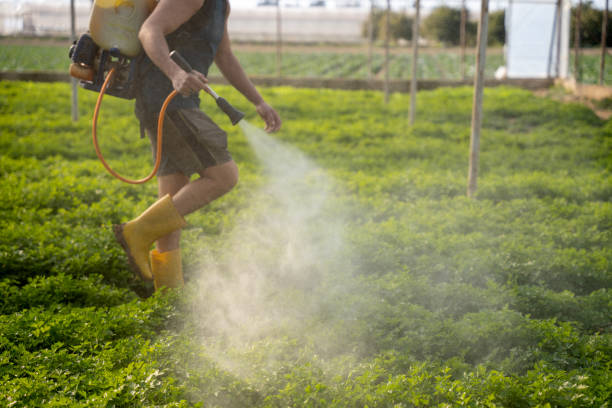 Best Residential Pest Control  in Lakeview Estates, GA