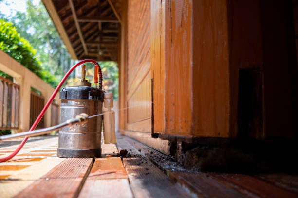 Best Pest Removal Services  in Lakeview Estates, GA