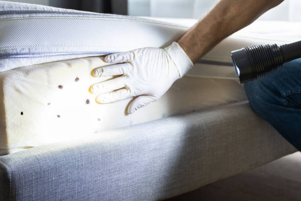 Best Pest Prevention Services  in Lakeview Estates, GA