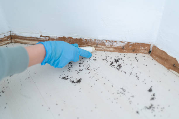 Best Rodent Control Near Me  in Lakeview Estates, GA