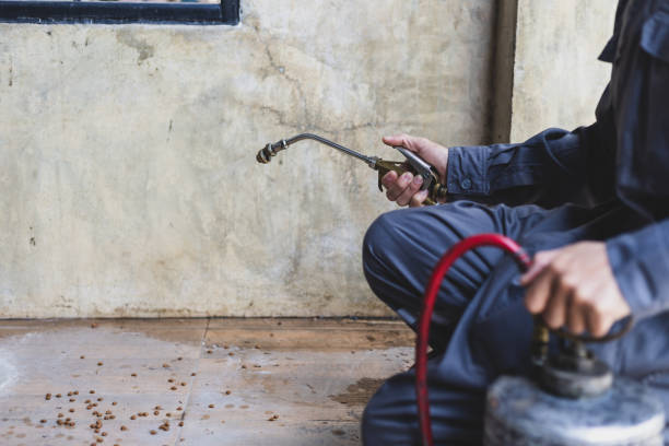Best Mosquito Control Services  in Lakeview Estates, GA